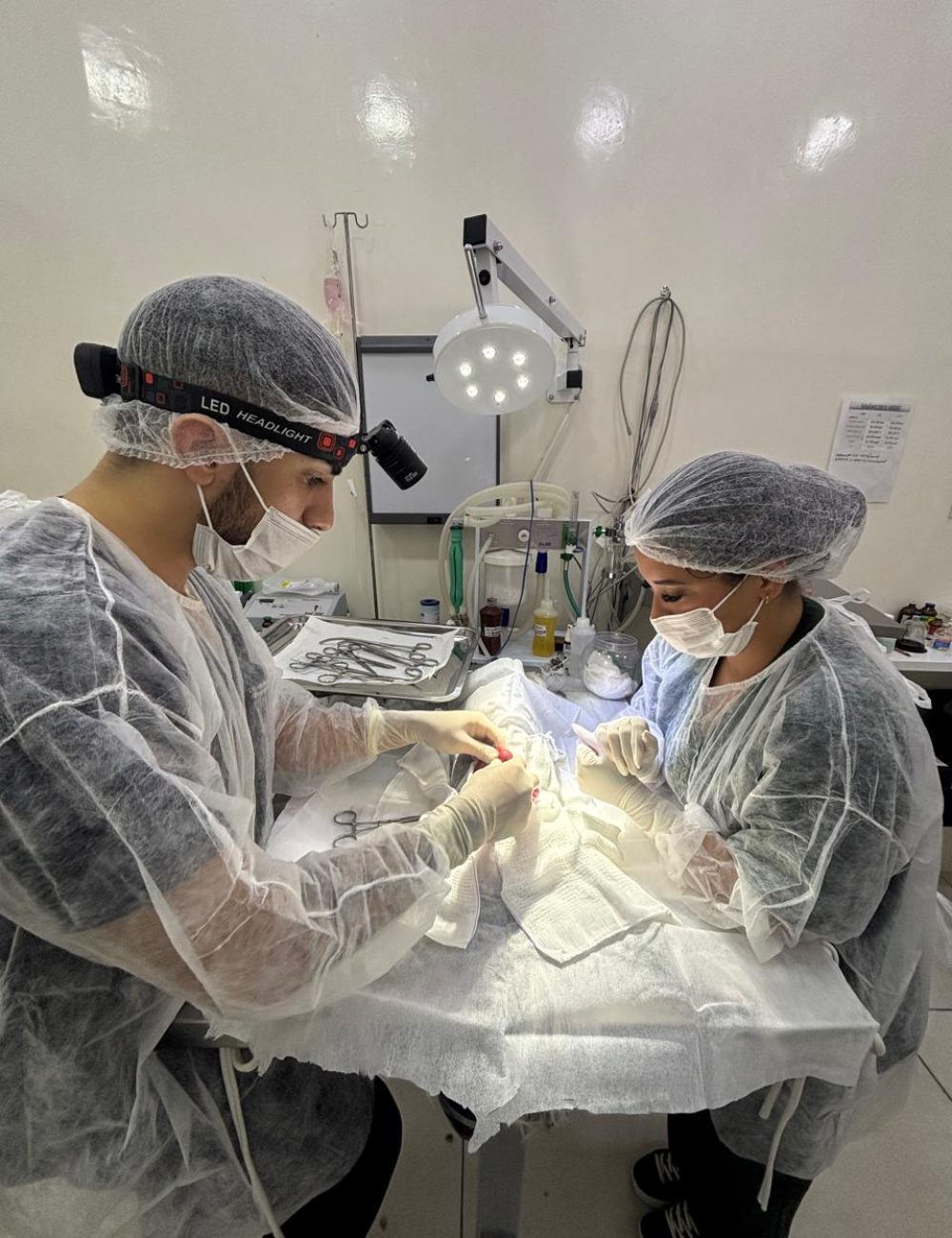 a83ebef5-b5f9-48ed-8da0-9cd6bf43b205